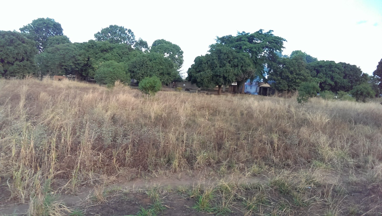 Environmental Conservation